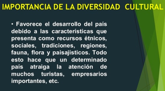 La importancia de la localización cultural