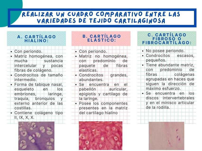 Tabla de Tejidos Recomendados y No Recomendados